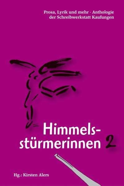 Janz, Anne Himmelsstürmerinnen 2: Prosa, Lyrik und mehr - Anthologie der Schreibwerkstatt Kaufungen