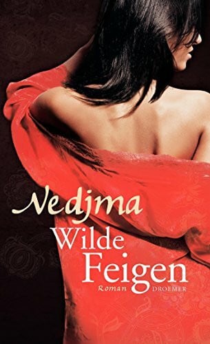 Gittinger, Antoinette Wilde Feigen: Roman