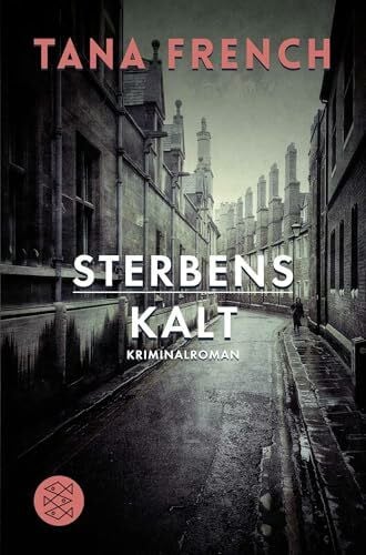 Timmermann, Klaus Sterbenskalt: Kriminalroman (Mordkommission Dublin, Band 3)