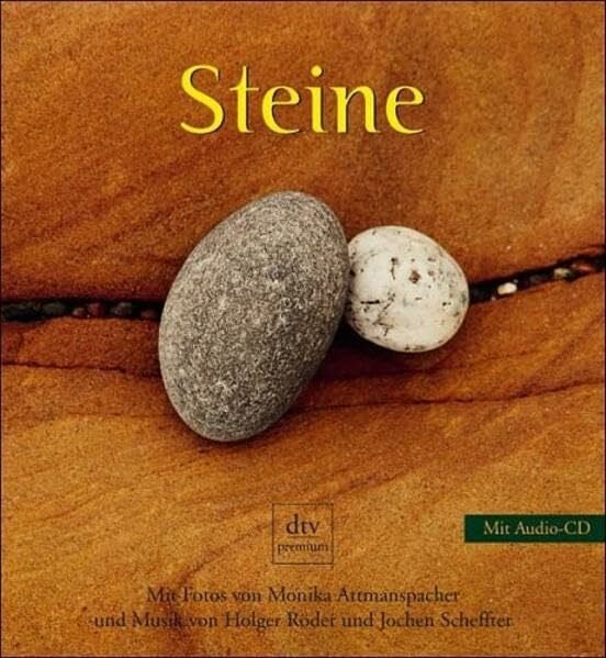 Attmanspacher, Monika Steine (dtv premium)