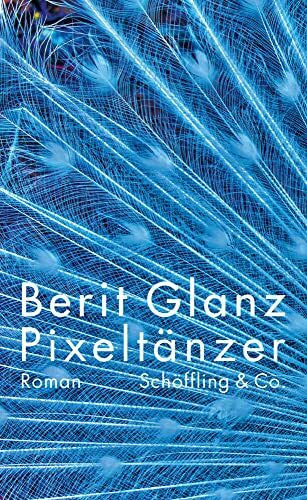 Berit Glanz Pixeltänzer: Roman