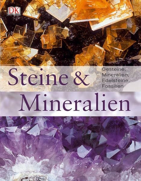 Bonewitz, Ronald L Steine und Mineralien: Gesteine, Mineralien, Edelsteine, Fossilien