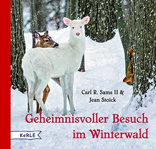 Wendel, Stefan Geheimnisvoller Besuch im Winterwald: A Magical Winter