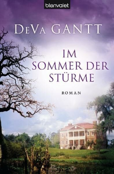 Gantt, DeVa Im Sommer der Stürme: Roman