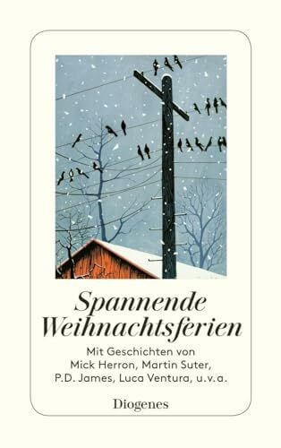 Armit, Shelagh Spannende Weihnachtsferien (detebe)