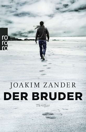 Hoyer, Nina Der Bruder: Thriller aus Schweden (Klara Walldéen, Band 2)