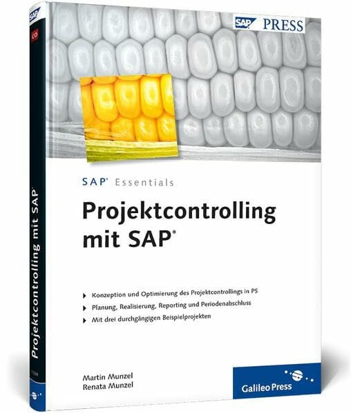 Munzel, Martin Projektcontrolling mit SAP: Konzeption und Optimierung des Projektcontrolling in PS. Planung, Realisierung, Reporting und Periodenabschluss. Mit drei durchgängigen Beispielprojekten (SAP PRESS)