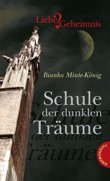 Minte-König, Bianka Schule der dunklen Träume (Liebe & Geheimnis)