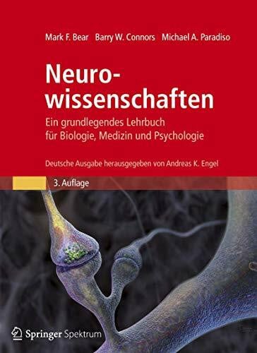 Michael A. Paradiso Neurowissenschaften - Ein grundlegendes Lehrbuch für Biologie, Medizin und Psychologie