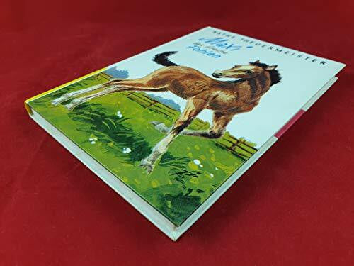 Reins, Franz Maxi, das freche Fohlen