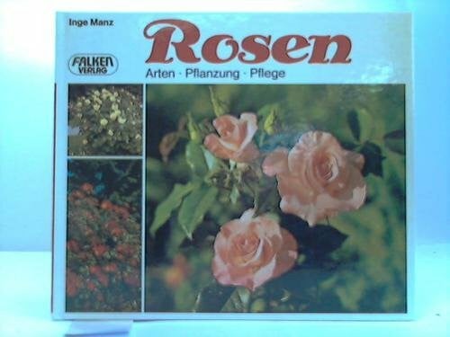 Rosen : Arten, Pflanzung, Pflege.