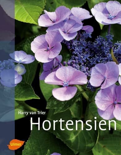 Thelen, Christina Hortensien