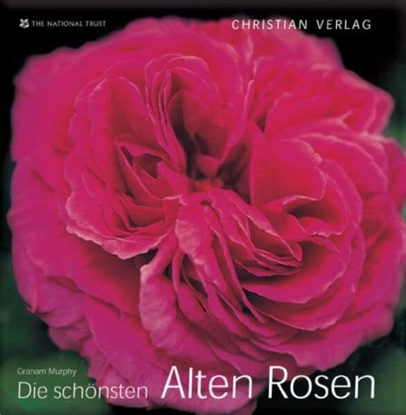 Murphy, Graham Die schönsten Alten Rosen
