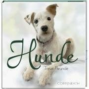 Bartsch, Stefanie BelLibri: Hunde - Treue Freunde (Geschenkbücher für Erwachsene)