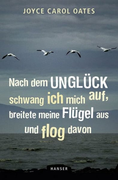 Birgitt Kollmann Nach dem Unglück schwang ich mich auf, breitete meine Flügel aus und flog davon