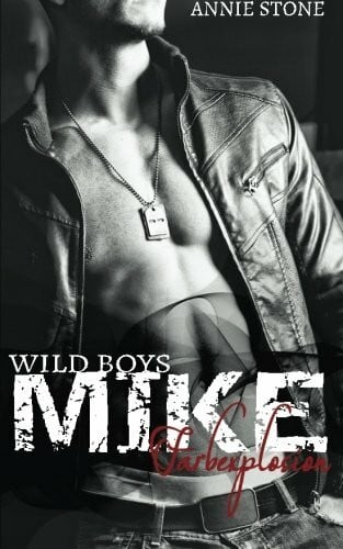 Stone, Annie MIKE - Farbexplosion (Wild Boys, Band 2)