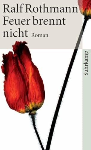 Rothmann, Ralf Feuer brennt nicht: Roman (suhrkamp taschenbuch)
