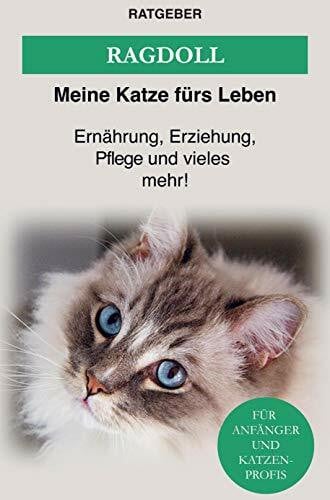 Ratgeber Meine Katze fürs Leben Ragdoll Katze: Ernährung, Erziehung und Pflege der Ragdoll Katze