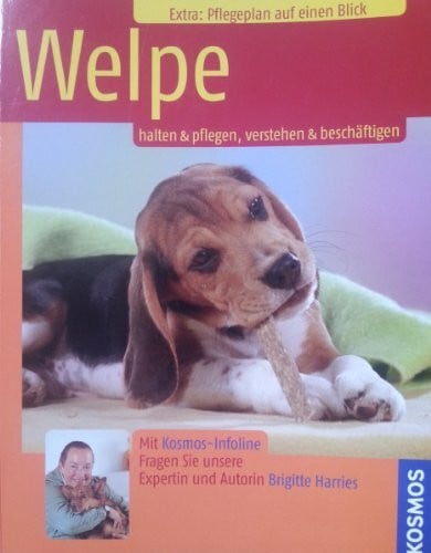 Harries, Brigitte Welpe: Halten & pflegen, verstehen & beschäftigen. Extra: Pflegeplan auf einen Blick