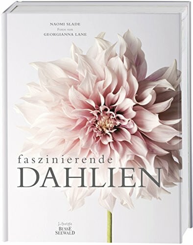 Lane, Georgianna Faszinierende Dahlien