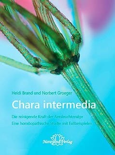 Stuut, Rienk Homöopathie und Minerale: Vorwort von Stuut, Rienk