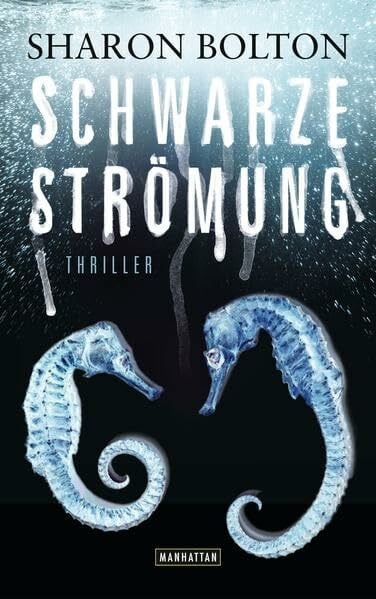 Bezzenberger, Marie-Luise Schwarze Strömung - Lacey Flint 4: Thriller (Sharon Bolton, Band 4)