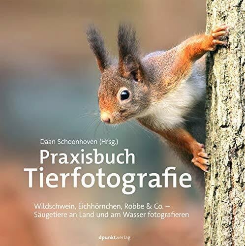 Haxsen, Volker Praxisbuch Tierfotografie: Wildschwein, Eichhörnchen, Robbe & Co. – Säugetiere an Land und am Wasser fotografieren