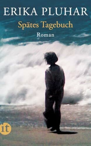 Pluhar, Erika Spätes Tagebuch: Roman (insel taschenbuch)