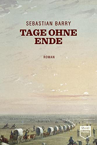 Barry, Sebastian Tage ohne Ende (Steidl Pocket): Roman
