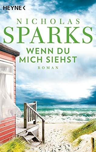 Finke, Astrid Wenn du mich siehst: Roman