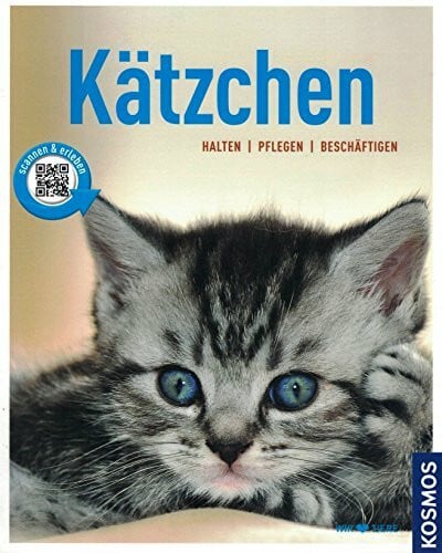Grimm, Hannelore Kätzchen: halten, pflegen, beschäftigen (Mein Tier)