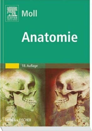 Moll, Michaela Anatomie
