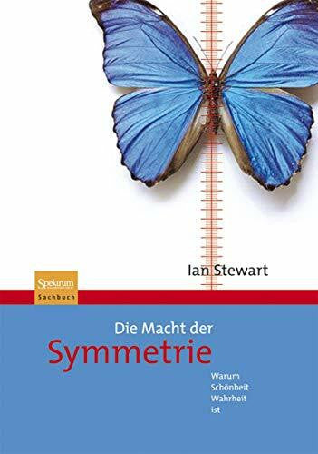 Filk, Thomas Die Macht der Symmetrie: Warum Schönheit Wahrheit ist