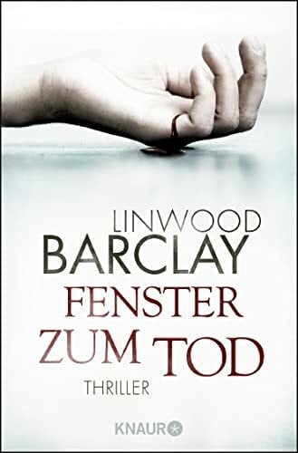Visintini, Silvia Fenster zum Tod: Thriller