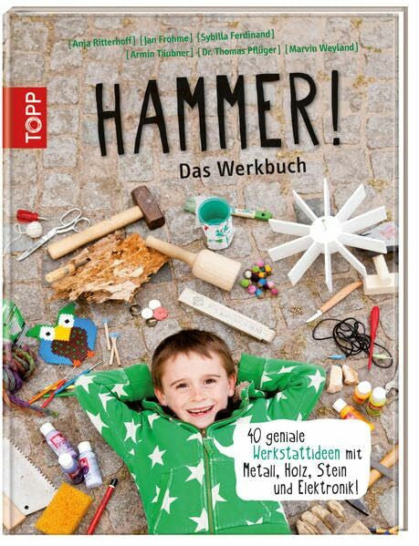 Ferdinand, Sybilla Hammer! Das Werkbuch: 40 geniale Werkstattideen mit Metall, Holz, Stein und Elektronik!