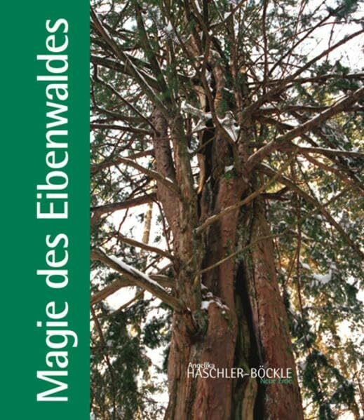 Haschler-Böckle, Angelika Magie des Eibenwaldes