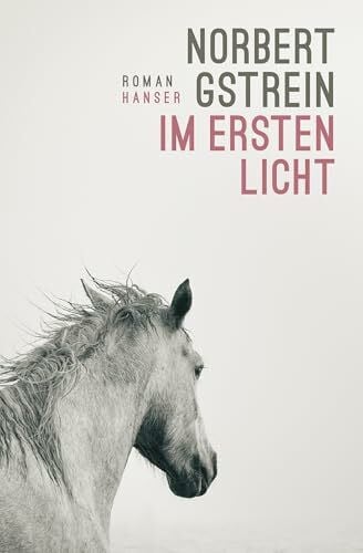 Gstrein, Norbert Im ersten Licht: Roman