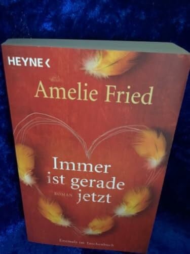 Fried, Amelie Immer ist gerade jetzt: Roman
