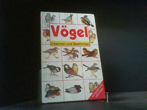 Vögel, Erkennen und Bestimmen