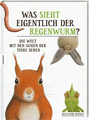 Schmidt-Wussow, Susanne Was sieht eigentlich der Regenwurm?: Die Welt mit den Augen der Tiere sehen