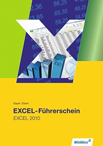 Gayer, Renate EXCEL-Führerschein: Excel 2010: Schülerband