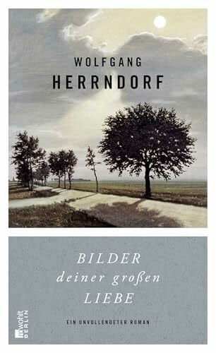 Herrndorf, Wolfgang Bilder deiner großen Liebe: Ein unvollendeter Roman