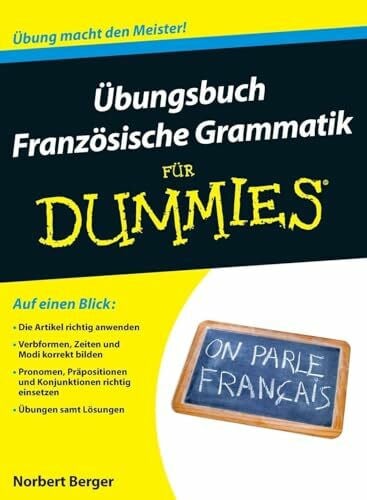 Berger, Norbert Übungsbuch Französische Grammatik für Dummies