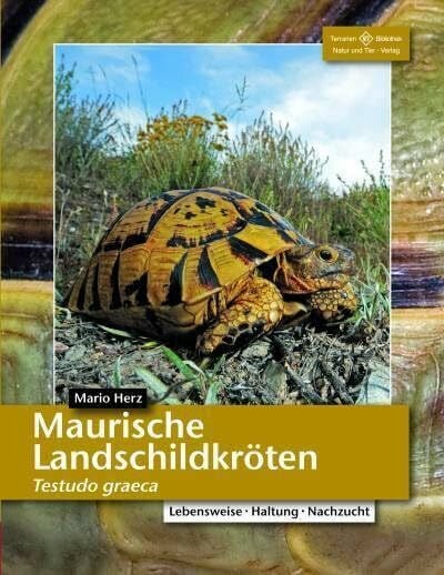 Herz, Mario Maurische Landschildkröten: Testudo graeca (Terrarien-Bibliothek)