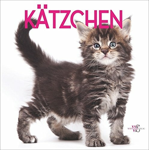 Schiavo, Rita Mabel Das Katzenbuch: Kätzchen - 380 liebenswerte Fotos von kleinen Kätzchen und Katzenbabys. Mit Vorstellung der wichtigsten Katzenrassen und kleinem Katzenratgeber