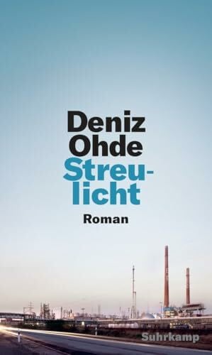 Ohde, Deniz Streulicht: Roman