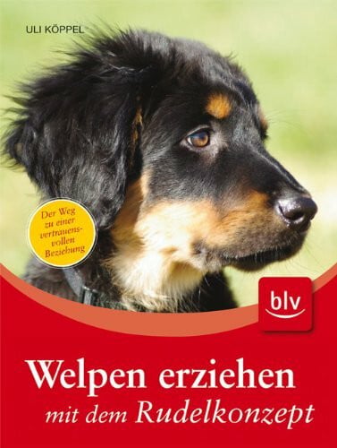 Uli Köppel Welpen erziehen mit dem Rudelkonzept