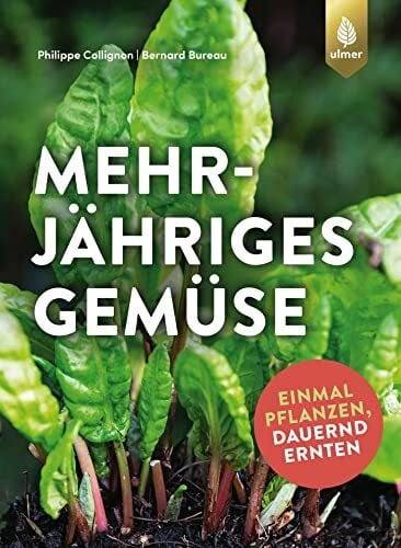 Hesemann, Sabine Mehrjähriges Gemüse: Einmal pflanzen, dauernd ernten