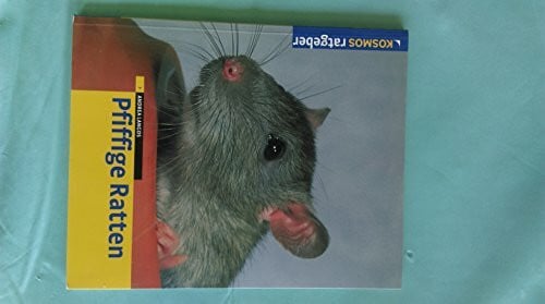 Pfifige Ratten