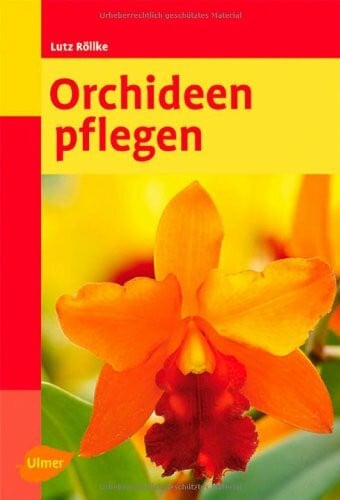 Röllke, Lutz Orchideen pflegen (TB)